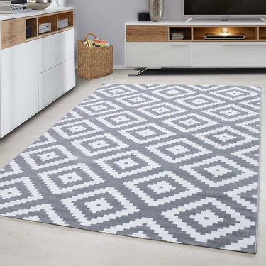 Plus 8005 Modern Contemporary Designer Grey Rug