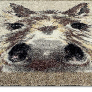 My Nylon Pattern Donkey Washable Non-Slip Rug