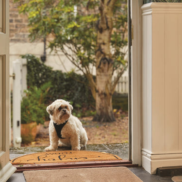 Eco Coir Hello Door Mat in Natural