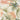 Nourison Aloha ALH43 Ivory Green Indoor Outdoor Polypropylene Floral Textured Rug