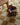 Checkerboard Natural Hand-Woven Jute Rug and Runner