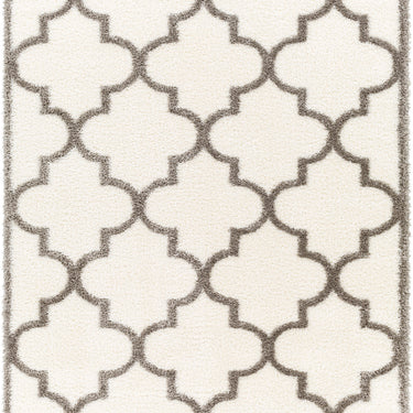 Cloudy Shag Modern Soft Plush Pile Ivory Rug