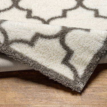 Cloudy Shag Modern Soft Plush Pile Ivory Rug