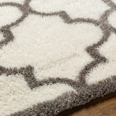Cloudy Shag Modern Soft Plush Pile Ivory Rug