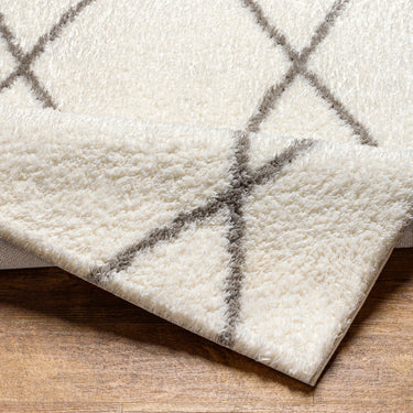 Cloudy Shag Modern Soft Plush Pile Ivory Rug