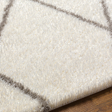 Cloudy Shag Modern Soft Plush Pile Ivory Rug
