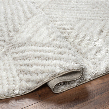 Cloudy Shag Geometric Soft Plush Pile Beige Rug