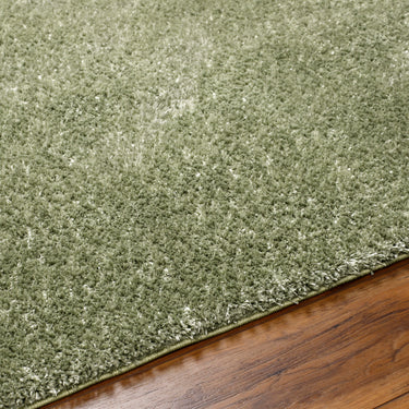 Cloudy Shag Solid Color Plush Soft Pile Green Rug