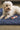 Origins My Midnight Blue Washable Non-Slip Polypropylene Shaggy Rug