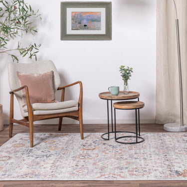 Flores Mina FR02 Traditional Floral Vintage Rug in Multi