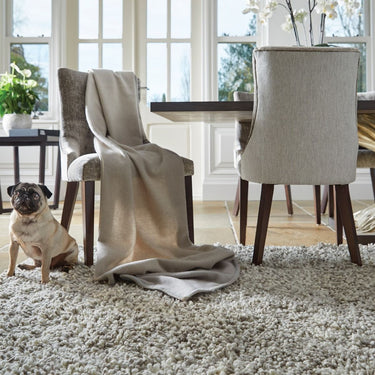 Imperial Luxury Shaggy Rug Guru Modern Hand Woven Wool Rug in Light Mix