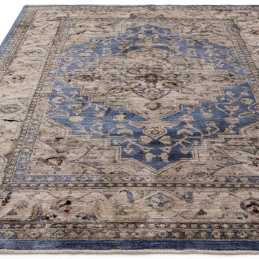 Sovereign Medallion Traditional Rug for Bedroom Living Room Flatweave Silky Shiny Rug