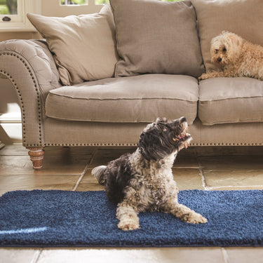 Origins My Midnight Blue Washable Non-Slip Polypropylene Shaggy Rug