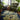 Monkey Business Botanical Wool Viscose Rug by Clarke & Clarke Hand Tufted Quality Rug in Indigo Blue