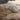 Asiatic London Luxuriously Real Mink Sheepskin Rug