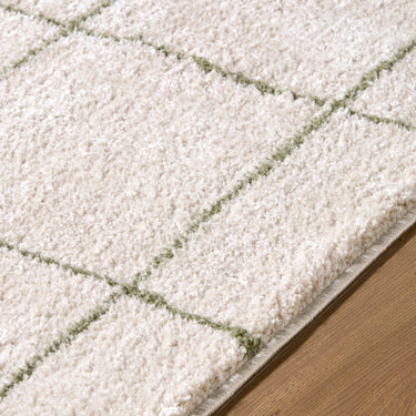 Tivoli Washable Shaggy Green Rug