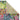 Consept Looms Art108 Multi Pictorial Pop Multicoloured Polypropylene Abstract Floral Rug