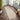 Origins Sisal Boucle Durable Classic Bordered Natural Grey Non-Slip Cotton Traditional Textured Rug - Runner 67x200 cm (2'2"x6'7")