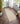 Origins Sisal Boucle Durable Classic Bordered Natural Grey Non-Slip Cotton Traditional Textured Rug - Runner 67x200 cm (2'2"x6'7")