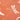 New Terrace Dragonfly Terracotta Polypropylene Bordered Modern Rug