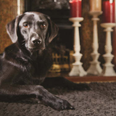 Union Wool Hand Woven Texture Chocolate Brown Rug