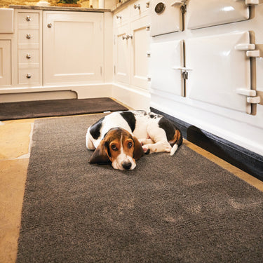 Howler & Scratch Soft Clove Brown Washable Non Slip Door Mat Hallway Entrance Rug - Runner 50x150 cm (1'7"x5')