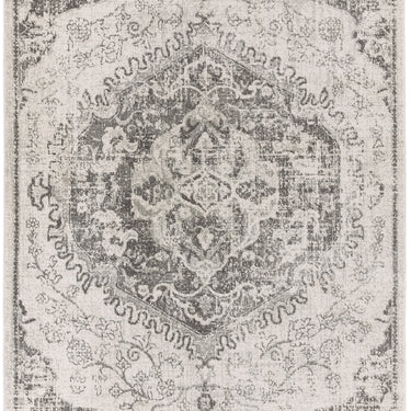 Nova NV26 Medallion Abstract Traditional Rug in Ivory