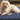 Origins My Midnight Blue Washable Non-Slip Polypropylene Shaggy Rug