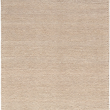DKNY Pure Knots DKP01 Hand Made Plush Chunky Loop Texture Beige Rug