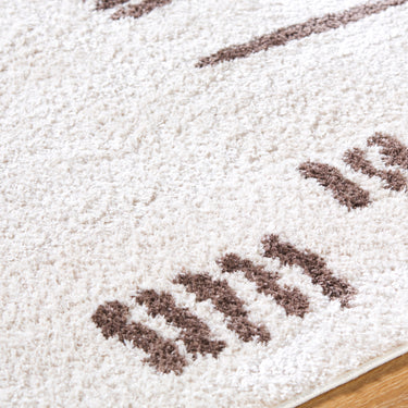 Fossay Washable Shaggy Brown Rug