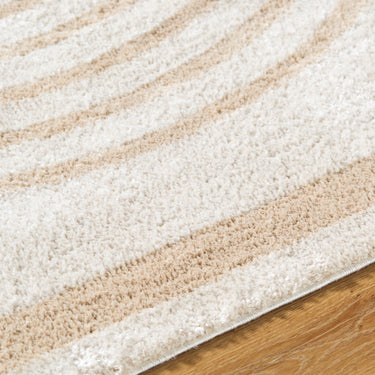 Fossay Washable Modern Shaggy Beige Rug