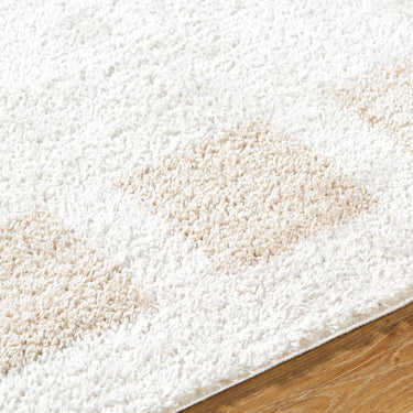 Fossay Washable Modern Shaggy Beige Rug