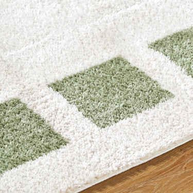 Fossay Washable Modern Shaggy Green Rug