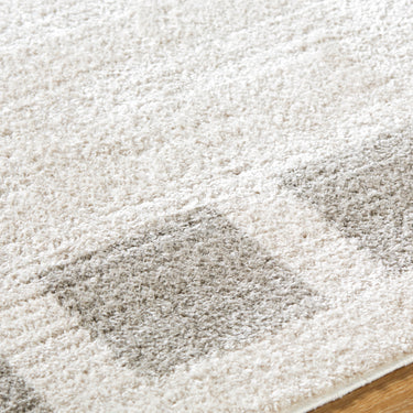 Fossay Washable Modern Shaggy Grey Rug