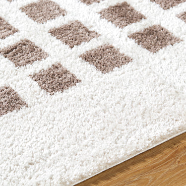 Fossay Washable Modern Shaggy Brown Rug