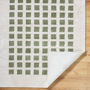 Fossay Washable Modern Shaggy Green Rug