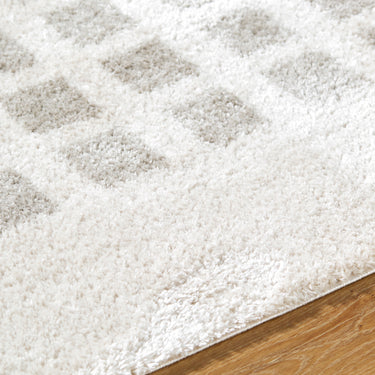 Fossay Washable Modern Shaggy Grey Rug