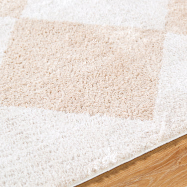 Fossay Washable Diamond Shaggy Beige Rug