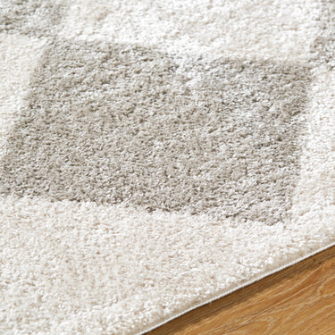 Fossay Washable Diamond Shaggy Grey Rug