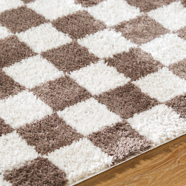 Fossay Washable Checkered Shaggy Brown Rug