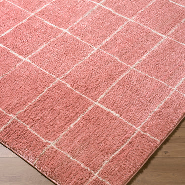 Fossay Washable Modern Shaggy Pink Rug