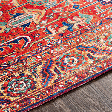 Iris Traditional Traditional Boho Orange Rug