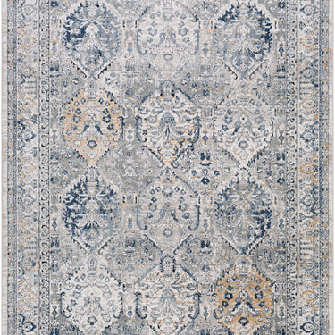 Jolie Vintage Traditional Boho Grey Rug