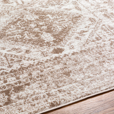 Monte Carlo Vintage Traditional Boho Ivory Rug