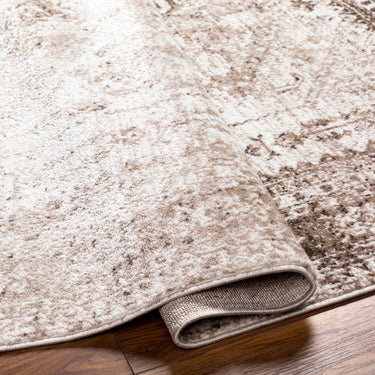 Monte Carlo Vintage Traditional Boho Brown Rug