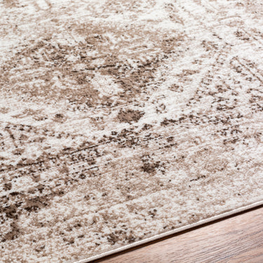 Monte Carlo Vintage Traditional Boho Brown Rug