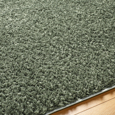 Moda Shag Solid Color Plush Soft Pile Green Rug