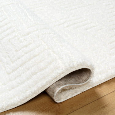 Nomadic Modern Modern Graphic Soft Plush Pile Ivory Rug