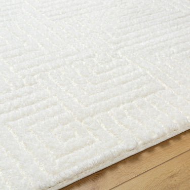 Nomadic Modern Modern Graphic Soft Plush Pile Ivory Rug