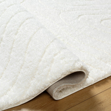 Nomadic Modern Modern Graphic Soft Plush Pile Neutral Rug